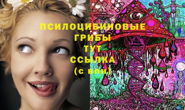 спиды Красноперекопск