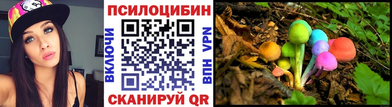 Псилоцибиновые грибы мицелий  ОМГ ОМГ зеркало  Корсаков  как найти закладки 