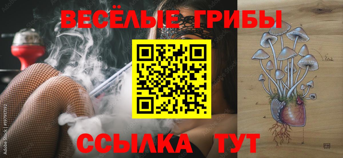 Корсаков  Псилоцибиновые грибы Psilocybine cubensis  Вход с VPN  Галлюциногенные грибы ЛСД 
