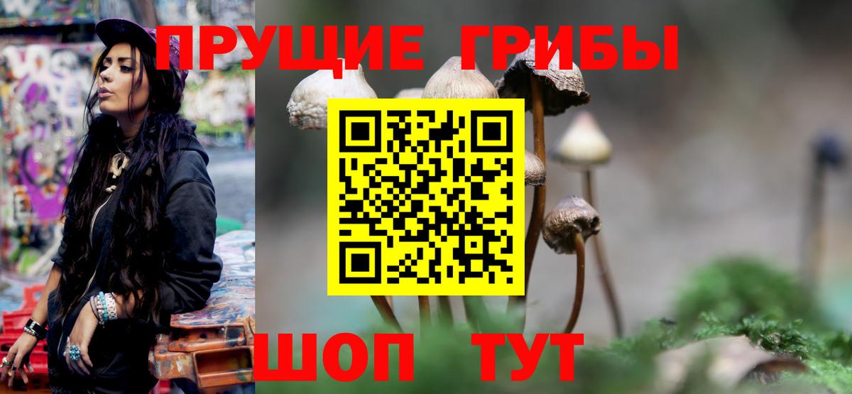 Галлюциногенные грибы мухоморы Корсаков